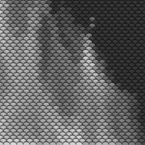 鳞片背景底纹图片