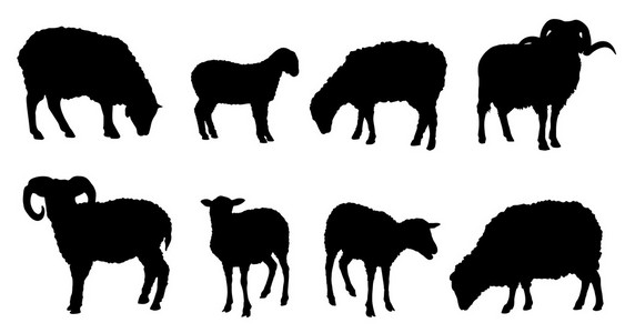 羊的剪影图片