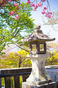 石头塔与樱花日本灯笼