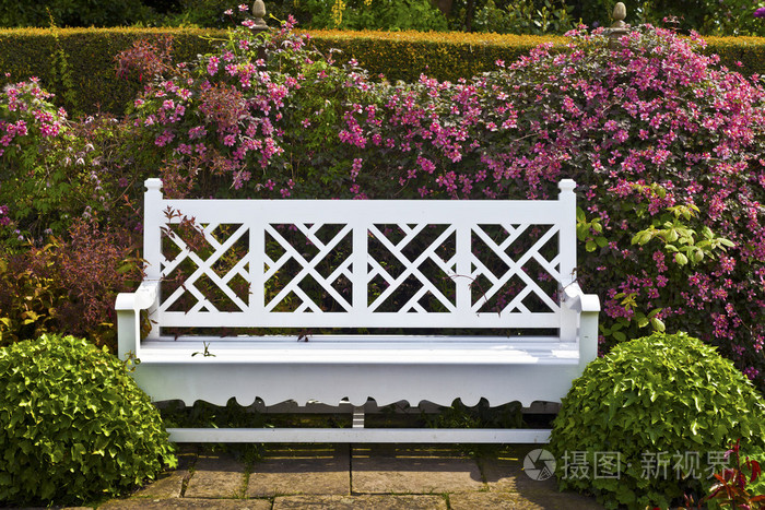 白色的花园长凳，绿色雕塑灌木与粉红色的铁线莲