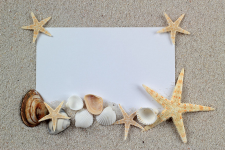 空白色卡与海星和贝壳躺在海砂夏天晴朗背景，度假明信片