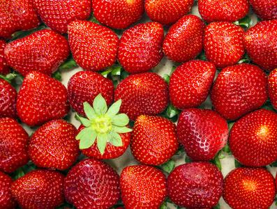 新鲜红草莓特写背景