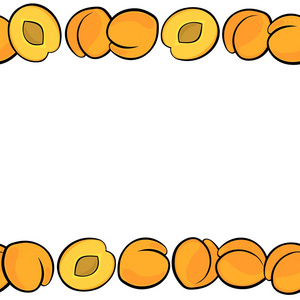 美味的成熟杏子，白色背景彩色果无缝双水平边框上孤立