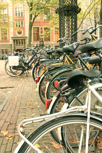 自行车阿姆斯特丹