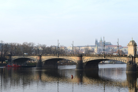 布拉格。城市的意见