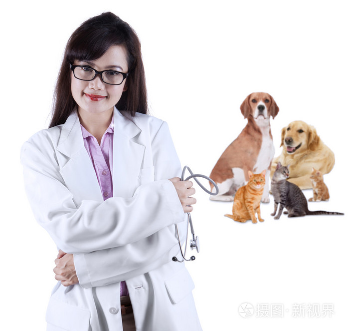 亚洲兽医和宠物