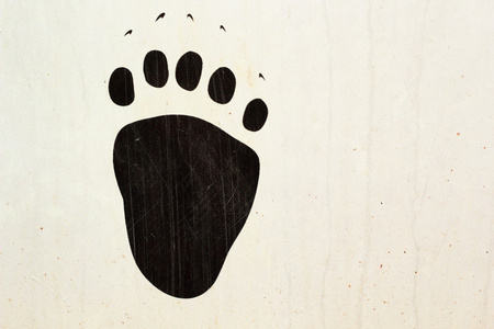 在一个木制的纹理上绘制的熊动物的踪迹