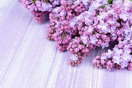 美丽的淡紫色花朵，木制的背景上