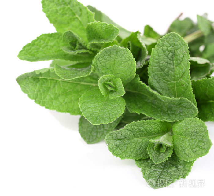 薄荷白隔离