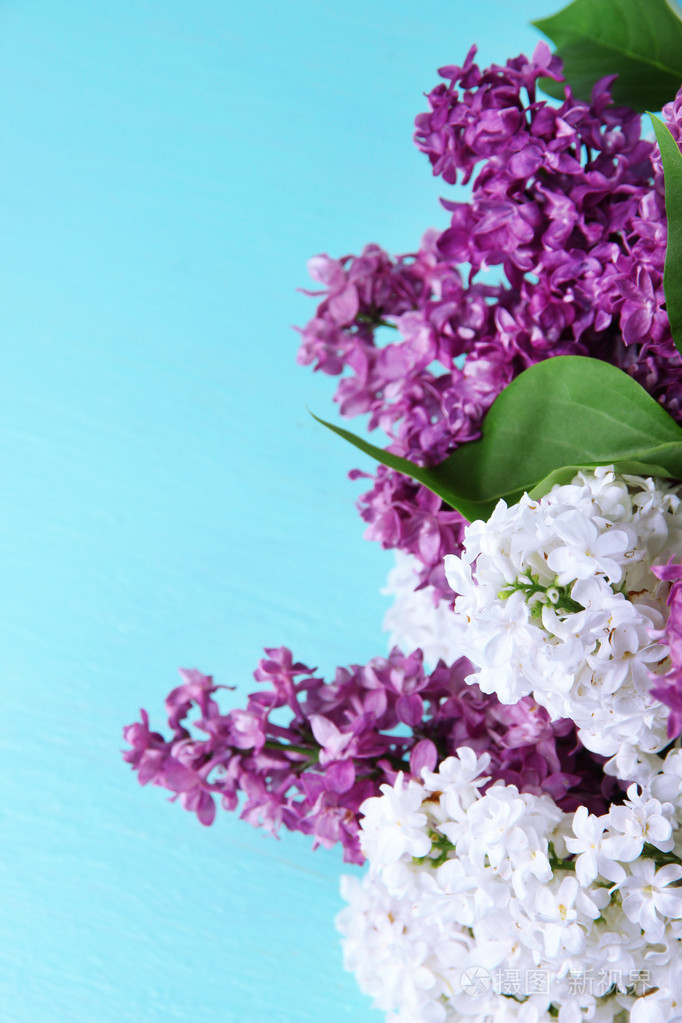 束美丽的彩色木背景上的淡紫色花