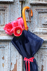 美丽的郁金香，在伞上旧木门