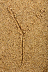字母写在湿的沙滩上