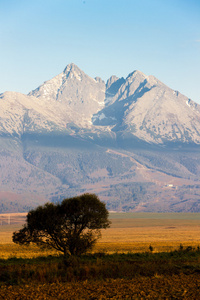 novorozen chlapeek sp mezi star knihy