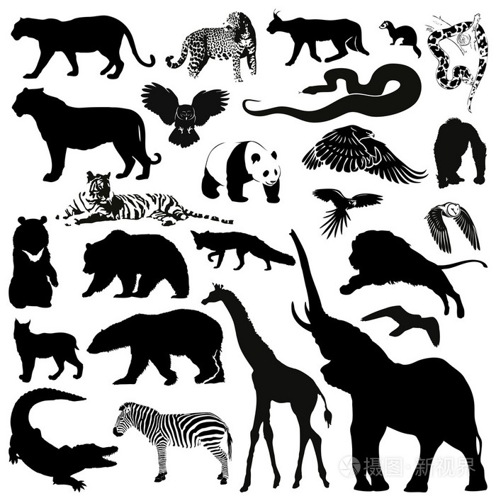 野生动物剪影