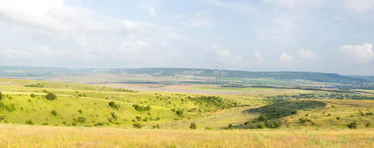 草地 美丽的 国家 乡村 地平线 场景 领域 天堂 植物