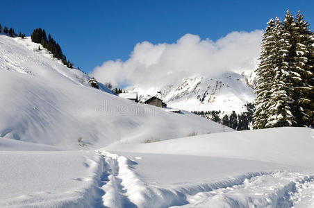 雪地里的小路