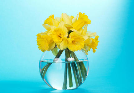 黄色水仙的圆形玻璃花瓶