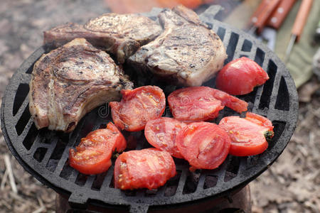 蛋白质 燃烧 烹饪 脂肪 食物 猪肉 烧烤 热的 磨碎 午餐