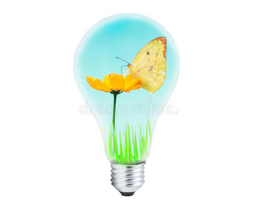 蝴蝶 环境 保护 创新 插图 思想 回收 自然 电灯泡 权力
