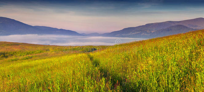 山上雾蒙蒙的夏日早晨全景图