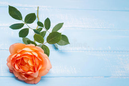 桌上桃色玫瑰