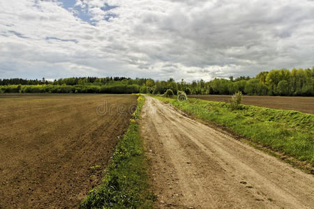 乡村公路。