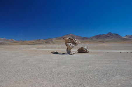 piedra del arbol，南玻利维亚里佩兹苏尔