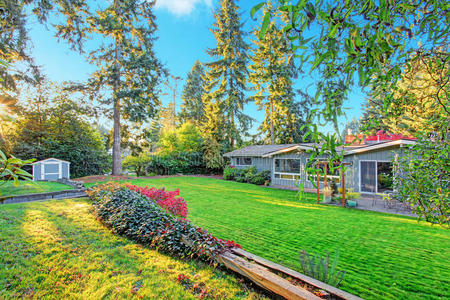 欧美带草坪的大花园图片