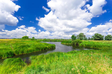 夏季景观