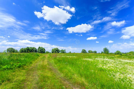 夏季景观