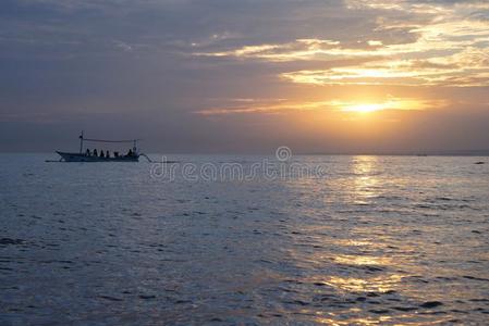 巴厘岛 亚洲 美丽的 旅行 海豚 场景 旅游业 游泳 洛维纳