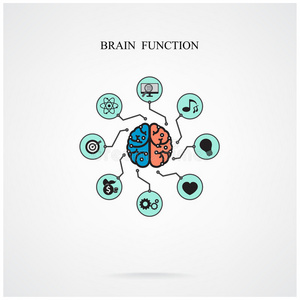 教育与科学的脑功能概念