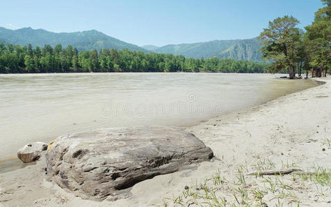 河岸上有一块大石头的夏季景观