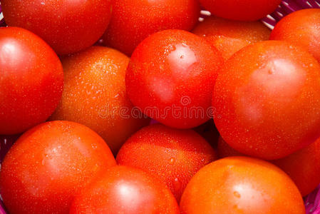 露天市场上有很多红番茄