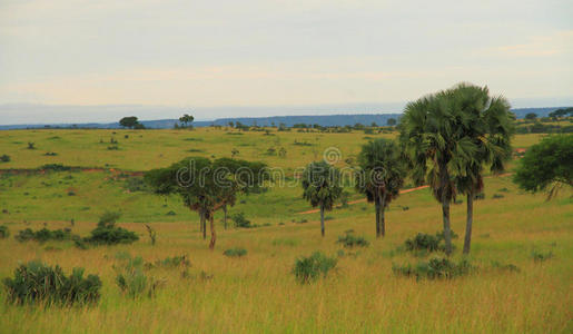 乌干达乡村景观
