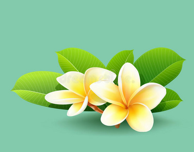 泰国的花图片-泰国的花素材-泰国的花插画-摄图新视界