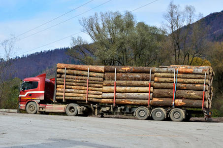 运木材的卡车照片