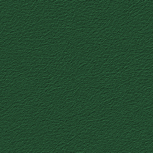 绿色带纹理的背景照片