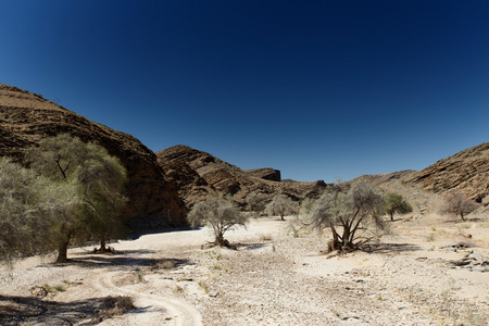 sossusvlei，纳米比亚干河