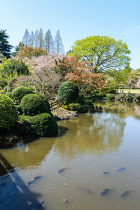 东京日本