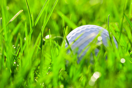 在绿色草地上的白色高尔夫球球