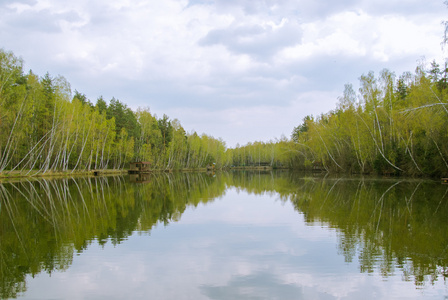 在森林里湖