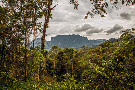 Tailandia热带塞尔瓦的Paisaje