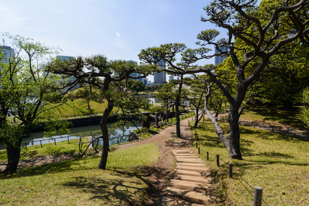 东京日本