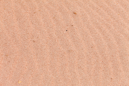 砂背景