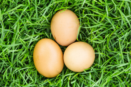 3 鸡蛋在草地上