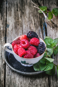 杯树莓和黑莓