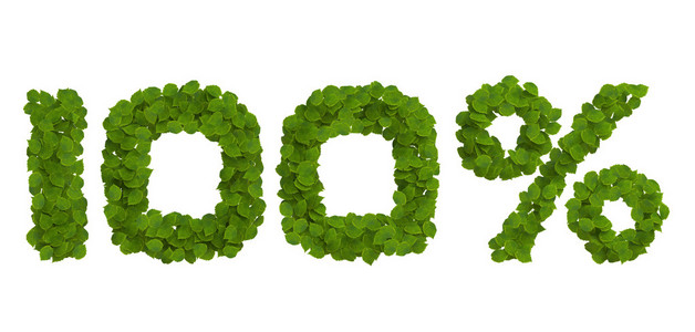 酷站百分百的图片