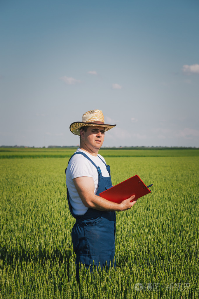 在该字段中的农夫
