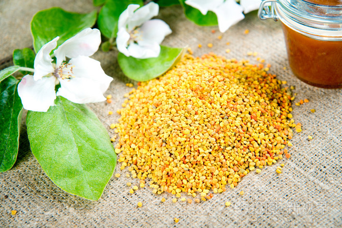 花粉蜂花粉特写